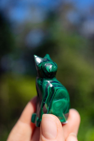Malachite Cat